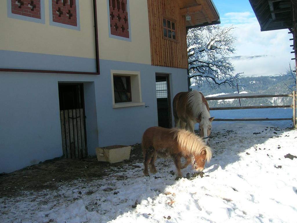 Apartamento Kollerhof Schlanitzen Exterior foto